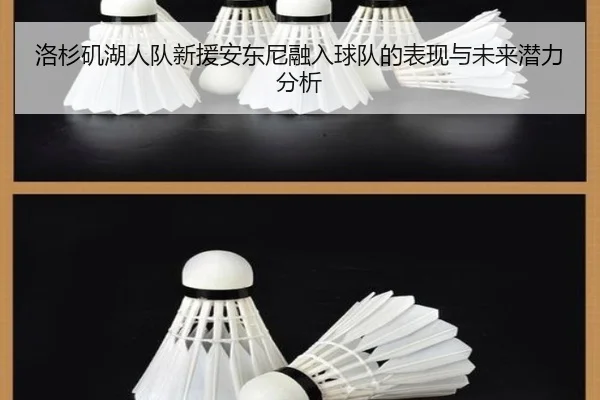 洛杉矶湖人队新援安东尼融入球队的表现与未来潜力分析